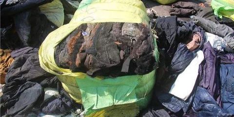 中國禁運洋垃圾與國際固廢技術發(fā)展新趨勢