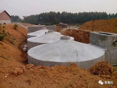 7條畜禽養(yǎng)殖污染防治知識及工程總承包服務(wù)