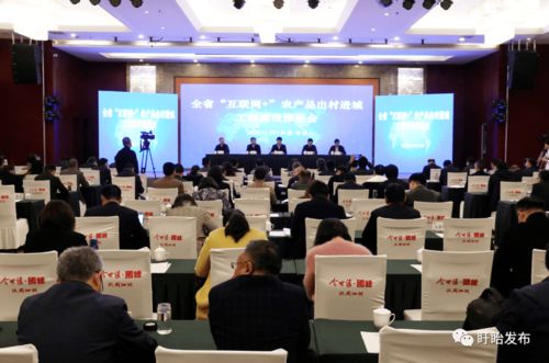 全省互聯網農產品出村進城工程建設推進會在盱眙召開，共筑農產品電商發展新藍圖